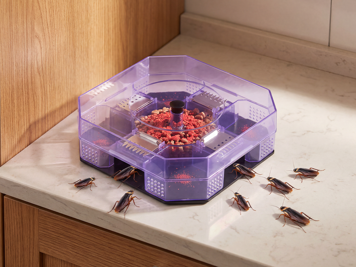 Reusable Effective Roach Trap