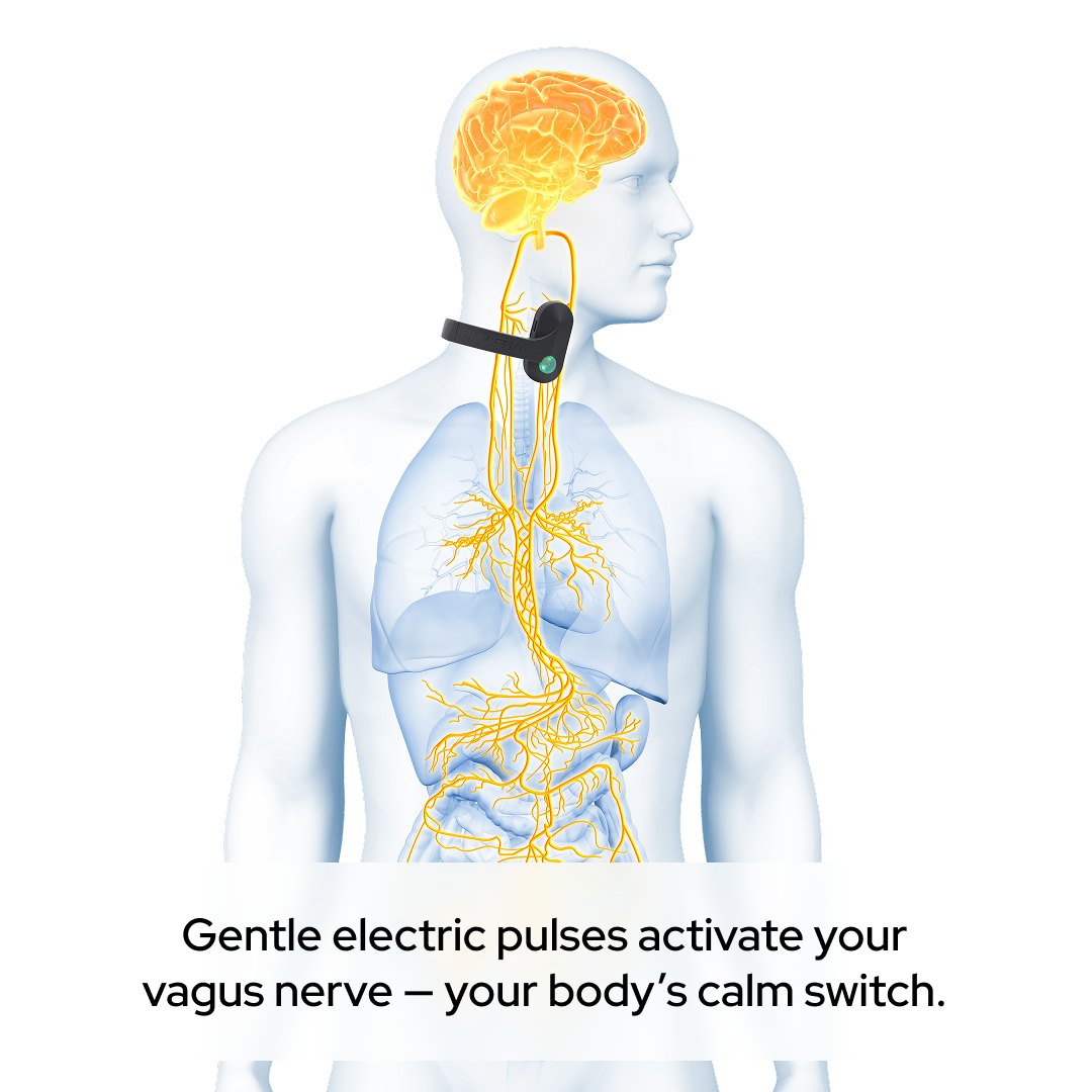 Buy Noverlina FIT/LITE vagus nerve stimulator: Help your body feel calm and sleep better in just 4 minutes a day