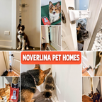 Noverlina Cat Door Prop